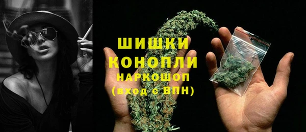 дживик Горнозаводск